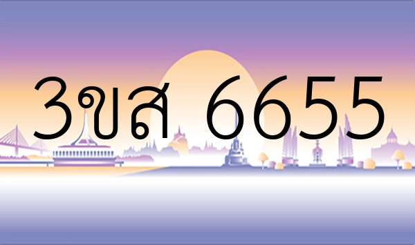 3ขส 6655
